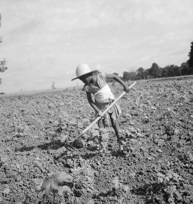 Child of impoverished Negro tenant family working on farm. Alabama